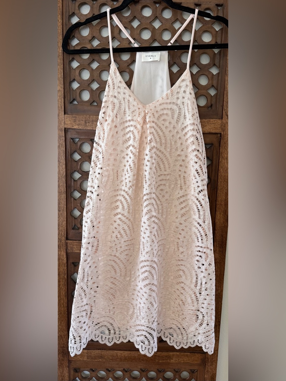 Everly Blush Pink Lace Sleeveless Shift Dress Size Small